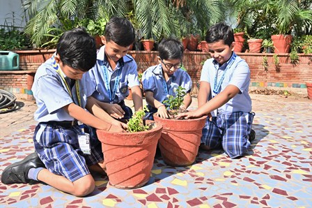 VANMAHOTSAV CELEBRATION 